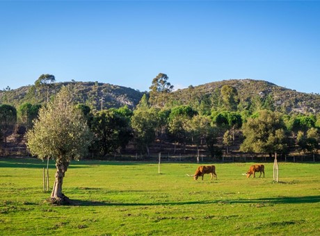 Cómo afecta el cambio climático a las fincas y qué es lo que puedes hacer