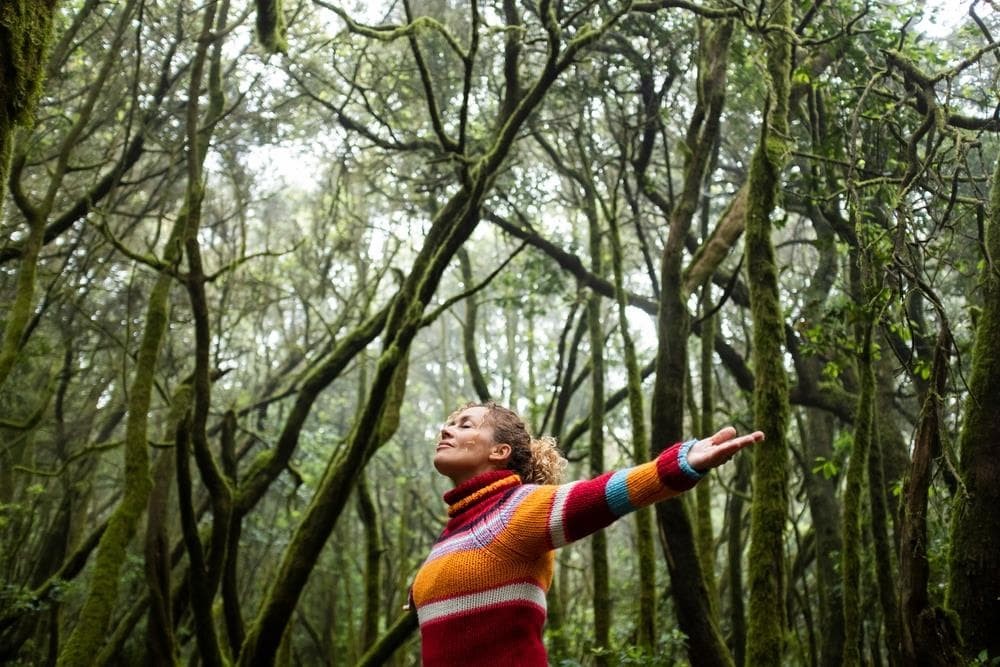 El compromiso con la sostenibilidad de Norgal Forestal