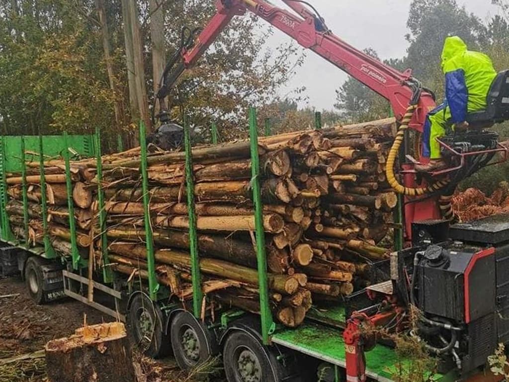 ¿Sabía que la certificación forestal beneficia a productores y consumidores?