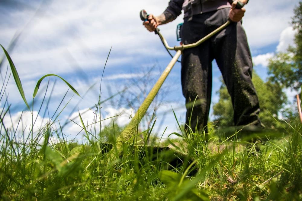 Transforma tu terreno en un espacio productivo con nuestros desbroces profesionales